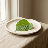 Perilla Frutescens Ext.