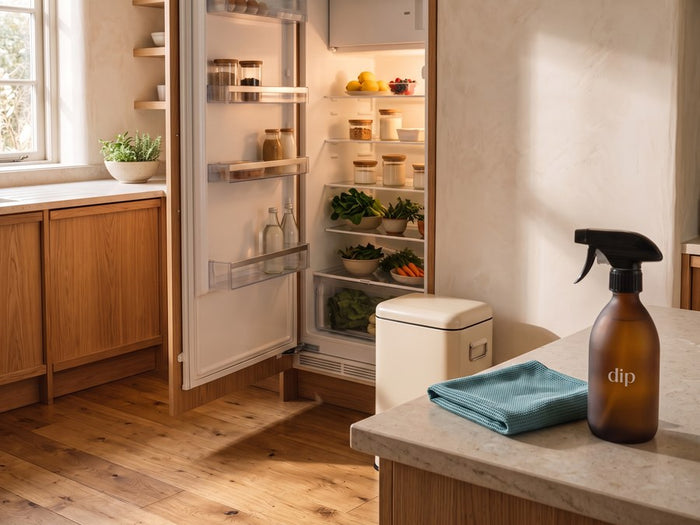 Fridge & bins